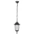 Уличный подвесной светильник Ambrella light Garden ST2029