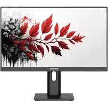 Монитор RDW Computers 2701K/F00B3100V2A1