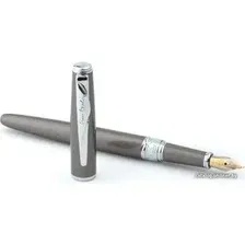 Ручка перьевая Pierre Cardin Secret Business PCA1561FP