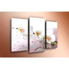 Модульная картина Arthata m-000584 120x80