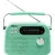 Радиоприемник Ritmix RPR-045 (мятный)