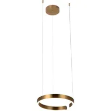 Подвесная люстра LOFT IT Ring 10013S