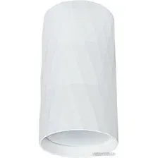 Точечный светильник Arte Lamp Fang A5557PL-1WH