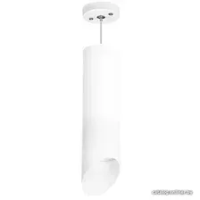 Подвесная люстра Lightstar Rullo RP649686