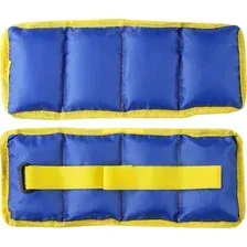 Комплект утяжелителей Indigo Классик SM-148 2x0.3 кг (синий)