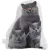 Декоративная подушка Этель Cat family 10864246