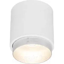 Светильник Elektrostandard 25032/LED 10W 4200K (белый/серебро)