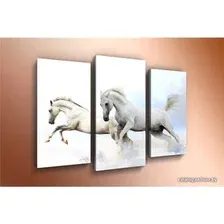 Модульная картина Arthata m-000328 90x60