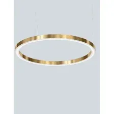 Подвесная люстра ImperiumLoft Light ring horizontal 40.1454-120 177925-22