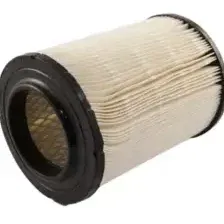 Воздушный фильтр Carex 100081RX