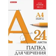 Папка для черчения BRAUBERG 129255 (24 л)