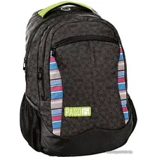 Школьный рюкзак Paso 18-2808MK