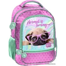 Школьный рюкзак Paso Studio Pets PTM-260