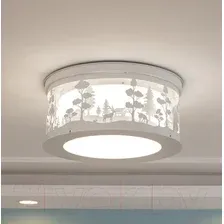 Потолочный светильник Home Light Астерия D009-2 (белый)