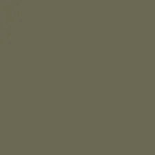 Фон для съемки Falcon Eyes BackDrop 2.72x10 (хаки)