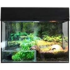 Террариум Lucky Reptile Стартовый комплект для амфибий SK50BP-B (черный)