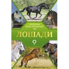 Энциклопедия АСТ Лошади. Иллюстрированный гид, твердая обложка (Спектор Анна)