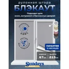 Рулонная штора Sundays Home LM 168-07 67x215 (серый)