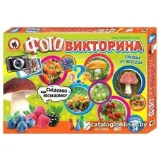 Детская настольная игра Русский стиль Фотовикторина Грибы и ягоды 03435