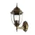 Уличный светильник Arte Lamp PEGASUS A3151AL-1BN