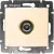 Розетка Legrand Valena 695625 (слоновая кость)