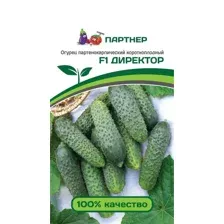 Семена Огурец Директор F1 (5шт)