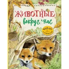 Развивающая книга АСТ Животные вокруг нас, твердая обложка (Барсотти Ренцо)