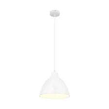 Светильник подвесной Arte Lamp BRACCIO A2055SP-1WH