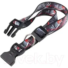 Ошейник Ferplast Arlecchino C20/56 / 75602999