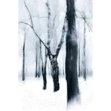 Картина на стекле Stamprint Деревья SP034 (120x80)