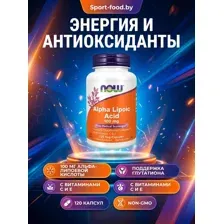 Alpha Lipoic Acid 100mg 120capsules