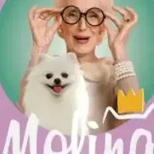 Лакомство для собак мелких пород и щенков Утиное филе на яблочных дольках, 50 г