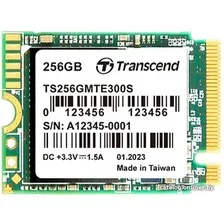 SSD Transcend 300S 256GB TS256GMTE300S