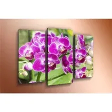 Модульная картина Arthata m-000578 90x60