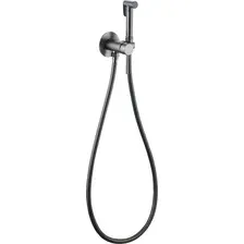 Гигиенический душ Abber Wasser Kreis AF8125NG (никель)