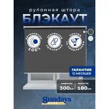 Рулонные шторы Sundays Home LM 167-07 300х180 (темно-серый)