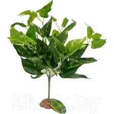 Искусственное растение Lucky Reptile Scindapsus Green IF-34