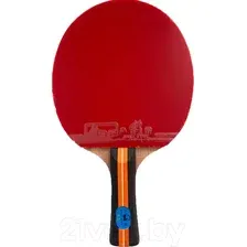 Ракетка для настольного тенниса Sabriasport K7804