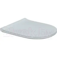 Сиденье для унитаза Bocchi V-Tondo A0336-001