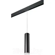 Трековый светильник Lightstar Rullo PRORP49730