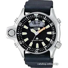 Наручные часы Citizen JP2000-08E