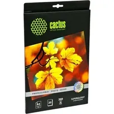 Фотобумага CACTUS Полуглянцевая A4 260 г/кв.м. 20 листов (CS-SGA426020)