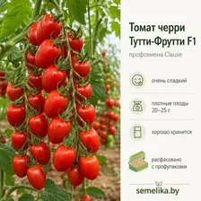 Семена томата черри Тутти Фрутти F1 Clause сладкий высокорослый для теплиц, (в зип пакете-6 шт.)