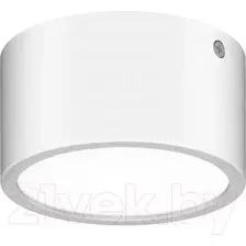 Светильник уличный Lightstar Zolla 380163