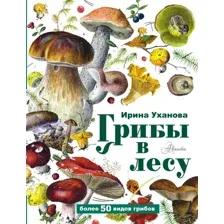 Энциклопедия АСТ Грибы в лесу, твердая обложка (Уханова Ирина)
