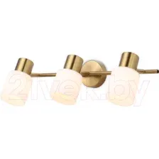 Спот Ambrella Traditional TR3972