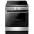 Кухонная плита Hansa FCCS63000