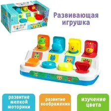 Сортер Zabiaka Весёлый сортер 7795012