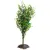 Искусственное растение Lucky Reptile Kilimandscharo Bush IF-51