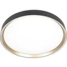 Потолочный светильник Citilux Boss CL751451G